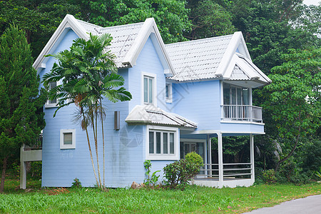 森林中的蓝房子建筑公园森林木头窗户财产花园小屋住宅蓝色背景图片