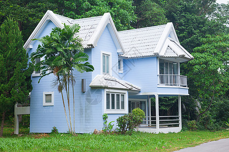 森林中的蓝房子建筑公园森林木头窗户财产花园小屋住宅蓝色图片