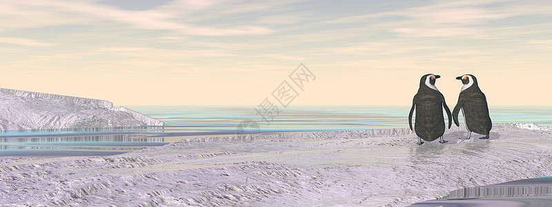企鹅夫妇  3D夫妻风景日落冰山白色海洋蓝色天空插图动物图片