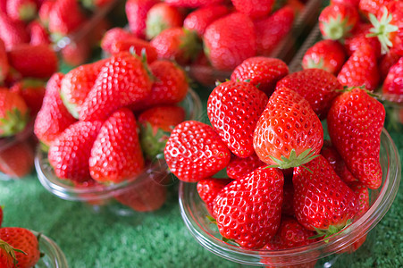 新鲜草莓集团图片
