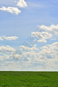 绿地和蓝天空远景草地蓝色地平线国家阳光季节天气天空农村图片