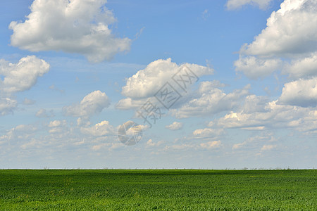 绿地和蓝天空草原太阳晴天土地蓝色阳光植物风景场景国家图片