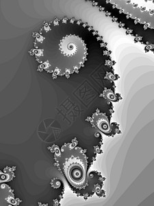 图形样式中装饰性折形螺旋插图涡流灰色漩涡电脑绘画艺术旋转曲线创造力背景图片