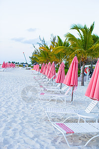 带雨伞和沙椅的热带空沙滩荒地天堂观景沿海情调海景海滩海岸异国晴天休息室椅子海岸线图片