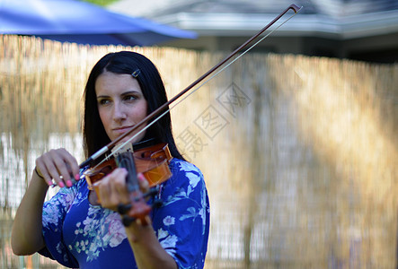 青年女子玩阴阳人公园音乐会天赋音乐家歌曲教会小提琴庆典野餐独奏图片