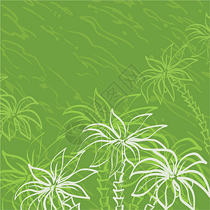 绿色背景棕榈树轮廓森林植物学丛林公园植物可可树干生态椰子棕榈图片