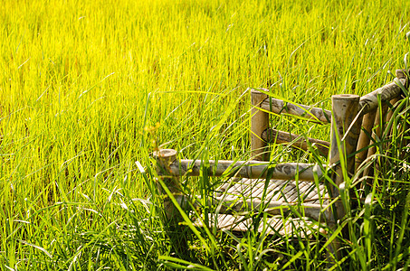 草地上的竹木木椅子地面阴影场景绿色农村木头家具公园花园植物图片