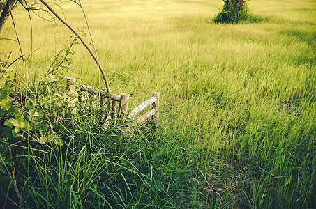 草原上的竹木木椅子公园植物地面阴影绿色场景木头农村杂草花园图片
