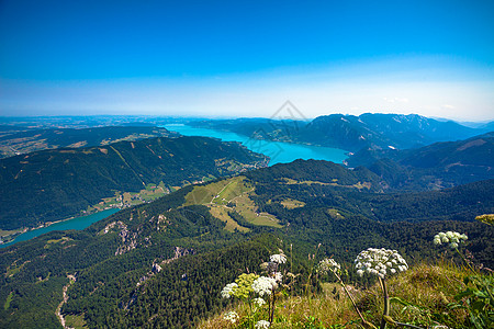 山脉水墨从Schafber山峰看湖景背景