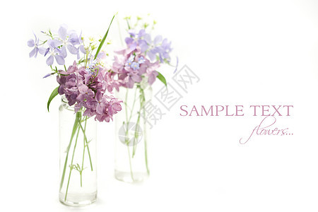 美丽的春花摄影装饰生活紫色草本植物花瓣花束庆典花园季节图片