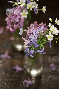 美丽的春花礼物乡村桌子花园花瓶装饰紫色花束生活草本植物图片