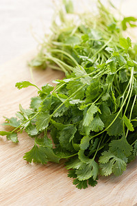 新鲜香肠植物叶子香料卷曲味道美食草本植物香菜食物厨房图片