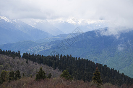 斯瓦内蒂山脉图片