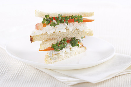 蔬菜三明治植物三明治食物山羊午餐小屋盘子小吃早餐面包饮食沙拉图片