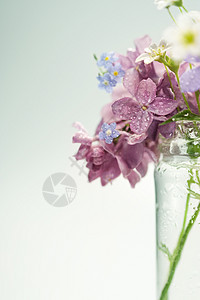 美丽的春花植物花束风格花园季节装饰桌子礼物生活植物群图片
