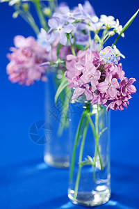 美丽的春花紫色花瓶桌子季节风格花园草本植物生活花束植物图片