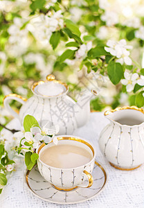 英式茶杯子蕾丝午餐英语厨房陶瓷茶壶牛奶早餐婚礼图片