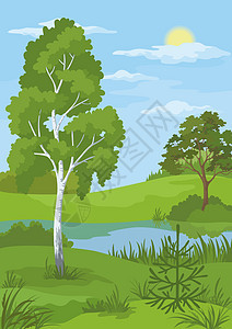 夏季风景 树木和河流云杉蓝色公园太阳季节生长叶子植物群木头植物图片