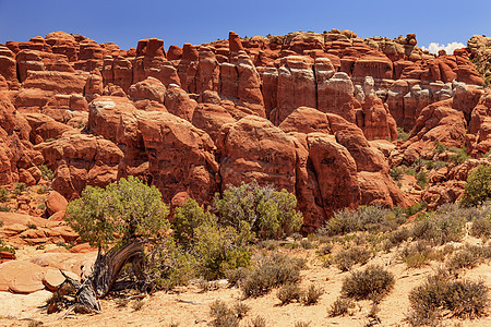 乌他国家公园 Moab Utah穆阿布乌塔石头崎岖假期悬崖岩石环境旅行台面峡谷巨石图片