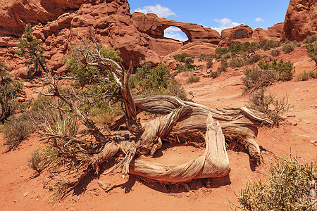 国家公园 Moab Utah穆阿布乌塔台面峡谷巨石旅行岩石土地环境地质学悬崖沙漠图片