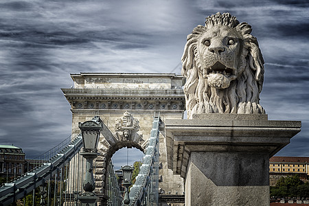 布达佩斯连链桥狮子狮房屋宫殿汽车纪念碑天空城市连锁店白色图片