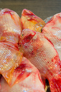 红鱼海鲜红色尾巴鲷鱼营养食物图片