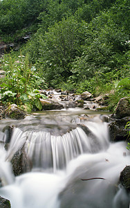 山岳中有许多瀑布流动生活苔藓溪流叶子公园木头植物旅游环境图片