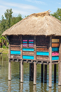 非洲浮华中多彩的斯图尔特村平房木头城市森林高跷气候住宅公园酒店收获图片