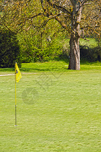 高尔夫球场的旗帜地面游戏场地草皮运动俱乐部课程植物草地高尔夫球图片
