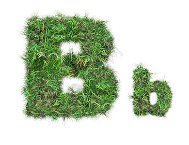 单绿草的字母B图片