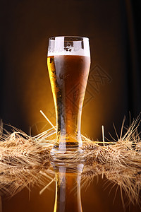 一杯啤酒加大麦耳朵麦芽小麦口渴大麦反射泡沫粮食气泡黄色饮料图片