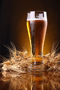 一杯啤酒加大麦耳朵反射麦芽黄色布料寒意饮料玻璃粮食口渴小麦图片