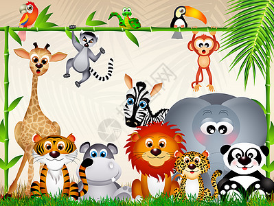 动物园里的动物森林鹦鹉卡通片黑板荒野丛林冒险熊猫狮子插图图片