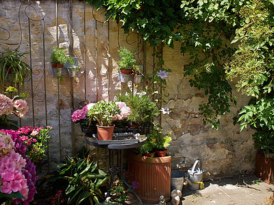 典型的意大利托斯卡尼式壁板锅花园乡村风格繁荣生长装饰花盆露台播种机石头图片