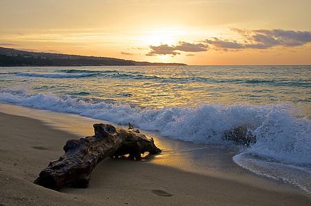 上午晨 Mood浮木心情海洋海滩遮阳棚海岸线树干海岸阳伞图片