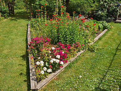 美丽的花朵床季节园艺园林植物群后院公园场景花瓣草地花园图片
