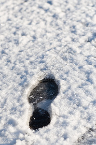 冬季冬季背景雾凇季节水晶白色天气宏观冻结植物雪花温度图片