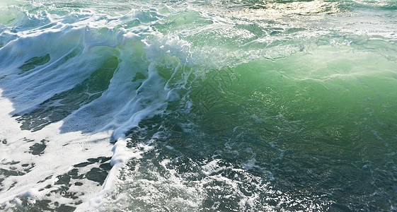 透明的海浪海滩海水透明波绿色阳光照射泡沫冲浪晴天海岸阳光背景图片