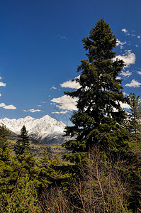 斯瓦涅蒂高加索山脉社区蓝天小镇风景村庄通道山脉树木旅行远足图片