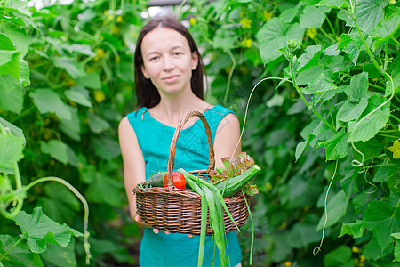 在温室里拿着一篮绿菜和洋葱的年轻女子微笑水果园艺收获女孩快乐季节农民收成国家图片