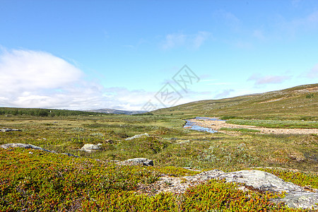 Tundra 景观公园全景爬坡苔原风景场景石头天空土地地形图片