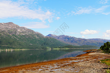 Fjord和山山蓝色旅行全景海岸圆圈海洋晴天岩石丘陵风景图片