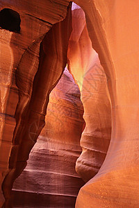 安特洛普峡谷的沙岩海浪结构橙子灯光石头旅行侵蚀峡谷纹理场景羚羊岩石图片