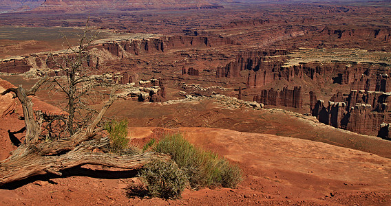 Canyonland国家公园图片