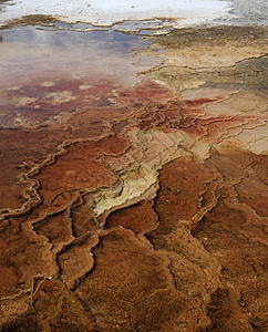 盛大潮湿的温泉蓝色微生物火山细菌水池国家地热森林沸腾甲烷图片