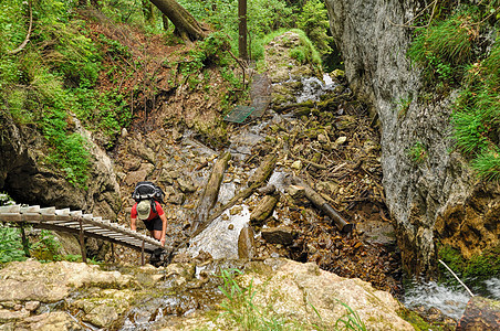 斯洛伐克天堂国家公园村庄分支机构土壤树木男性森林地面梯子瀑布树干森林图片