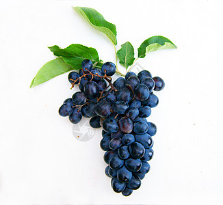 白色背景上的葡萄植物食物甜点水果藤蔓果汁蓝色叶子营养栽培图片
