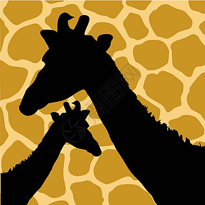 Giraffe 隐藏模式与 Giraffes 的插图图片