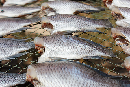 干燥的爬过海沟鱼美食营养淡水文化饮食食物钓鱼海鲜销售加工图片