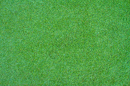 青草园景环境植物公园场地绿色色彩草地摄影水平图片